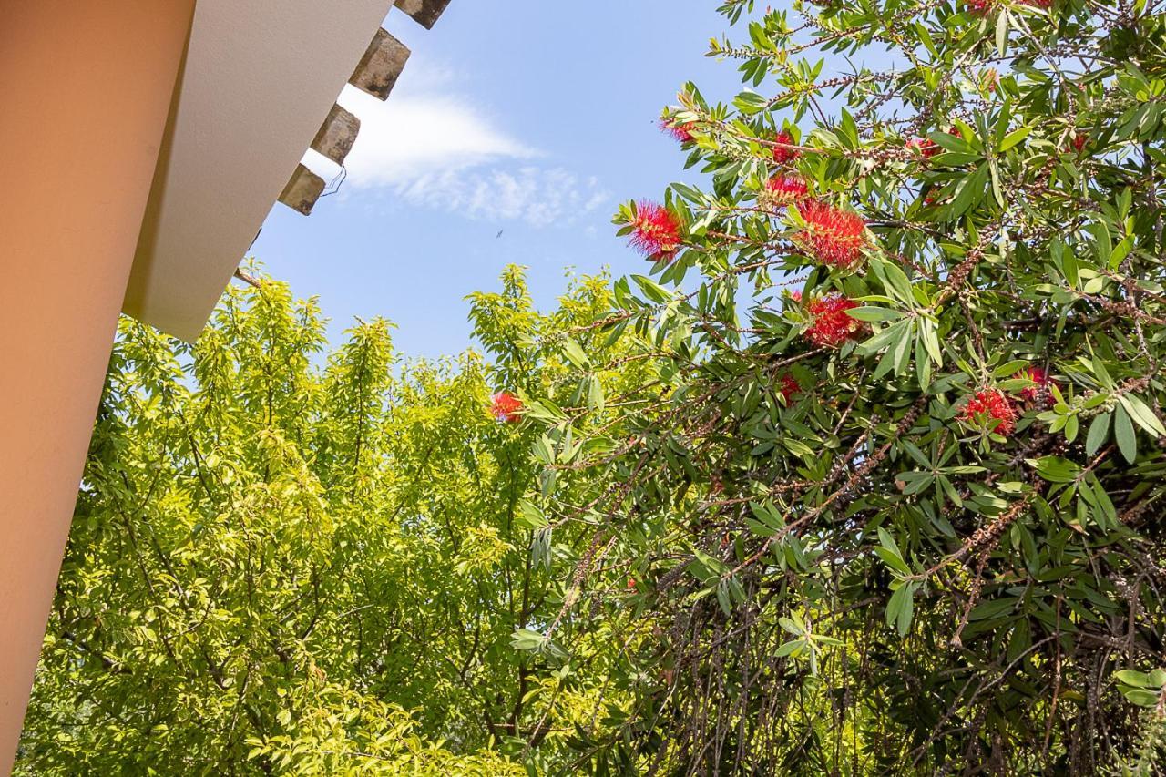 Villa Caterina La Maddalena  Екстер'єр фото